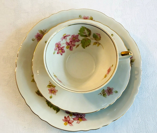 Vintage sammeltasse - vintage,