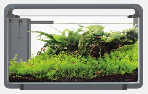Superfish home schwarz pro - home, 30