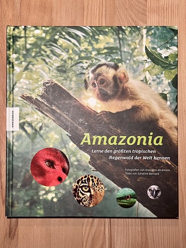 Amazonia lerne den - lerne,