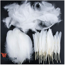 250 Stück Weiße Federn Deko