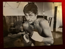 Pressefoto - Alain Delon  - Der Panther