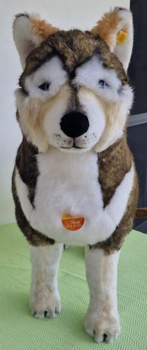 Steiff studio husky - steiff,