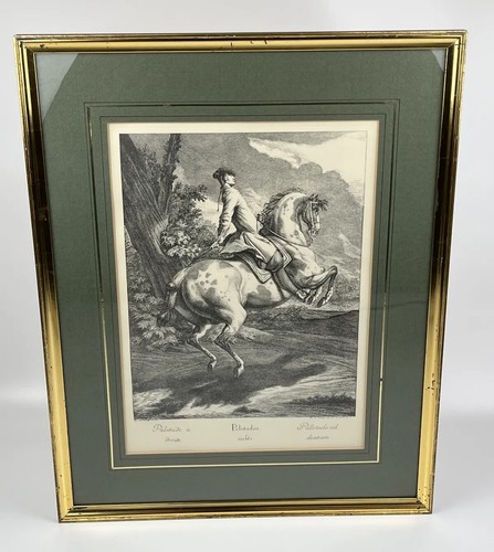 Johann elias ridinger 1734 - johann,