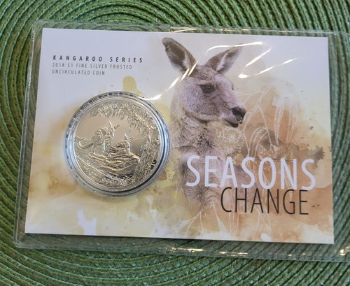 Aud känguru kangaroo - aud, känguru/kangaroo