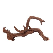 XL Driftwood Flußwurzel