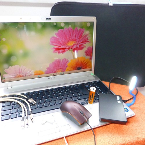 Sony vaio f13 premium - sony, 16