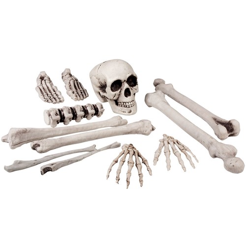 Teiliges knochen deko set - 12-teiliges,