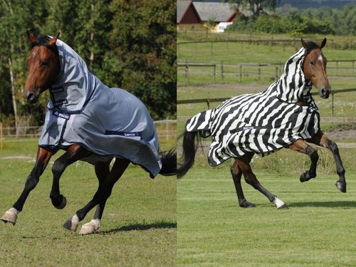 Bucas buzz off fliegendecke - bucas,