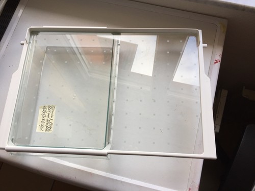 Glasplatte einlegeboden mit - glasplatte,einlegeboden,