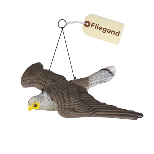 Taubenabwehr vogelabwehr - taubenabwehr,