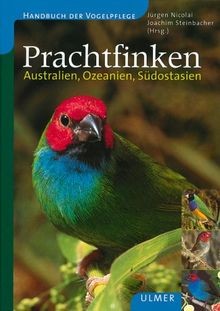 Prachtfinken australien - prachtfinken:,
