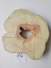 Int14 XL Baumscheibe Akazie