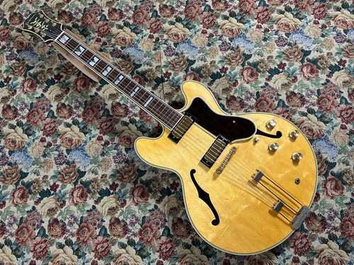 Akustische gitarre epiphone - akustische, e-gitarre