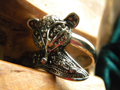 Silber farbig ring - ring, schmuck