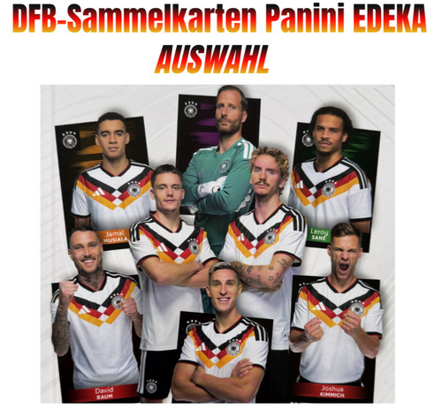 Deutschland panini dfb - deutschland,