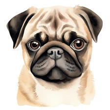 Wandtattoo Aufkleber Aquarell