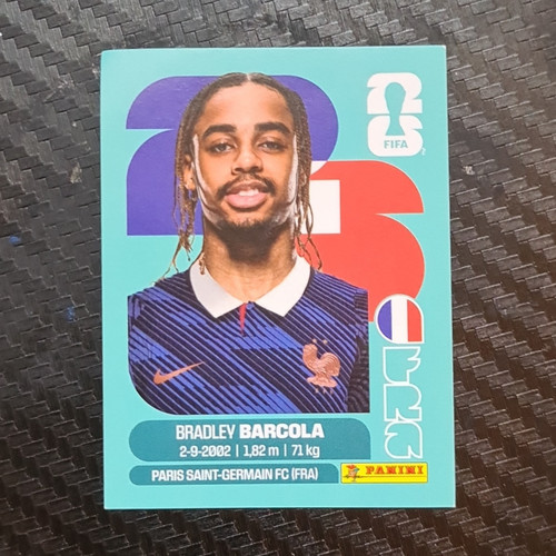 Panini fifa world - fifa, cup