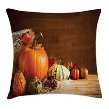 Kissenbezug Dekokissen für