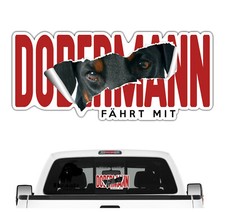 Auto Aufkleber Dobermann fährt mit Folie Sticker Hundemotiv Hund Hundeaufkleber