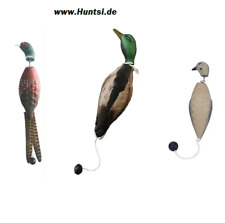 Stockente Fasan Vogel Wasser