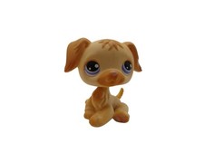 Littlest pet shop 286 Golden