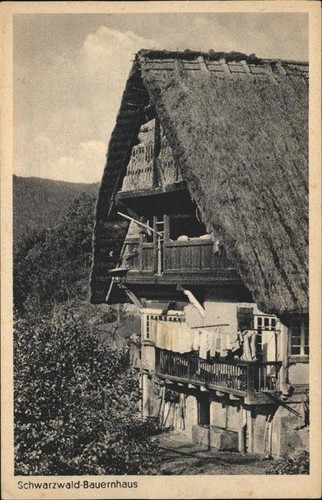 Schwarzwaldhaeuser bauernhaus - schwarzwaldhaeuser,