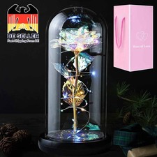 LED Ewige Rose im Glas für