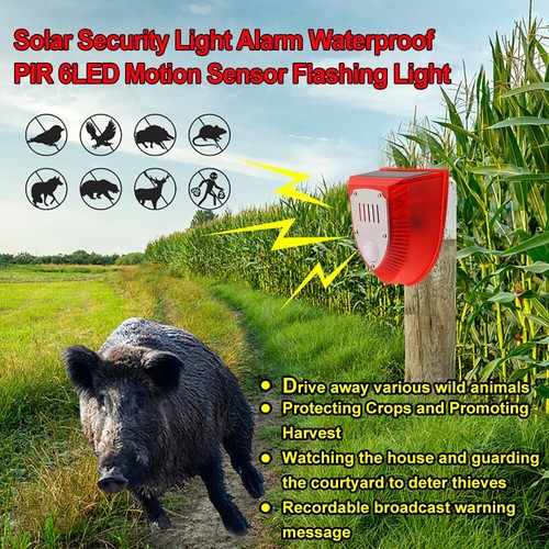Solar bewegungsmelder alarm - solar, bewegungsmelder‑alarm