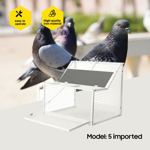 Tauben vogelkäfig für taube - vogelkäfig,