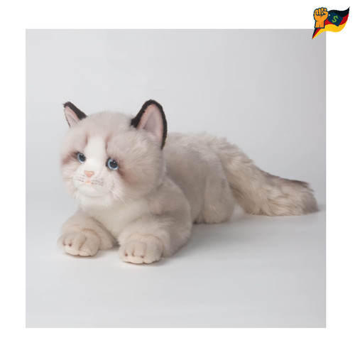 Ragdoll katze plüschtier - plüschtier, 50