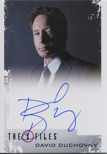 Files staffel 11 - files,