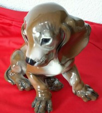 Rosenthal.Dackel Welpe