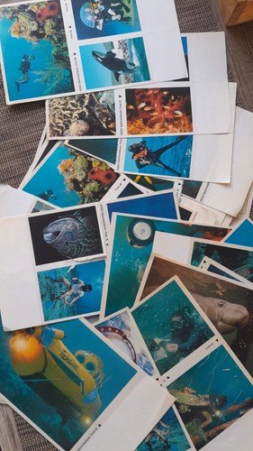 Konvolut diverse bilder für - konvolut,
