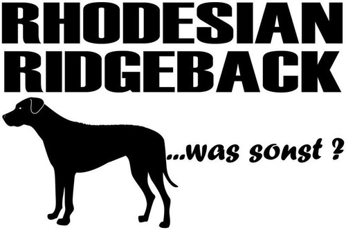 Aufkleber rhodesian ridgeback - aufkleber,