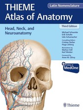 Head, Neck, and Neuroanatomy