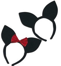 Katzenohren Katzen Ohren Katze