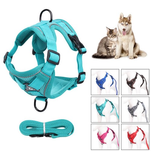 Hundegeschirr mit leine - hundegeschirr,