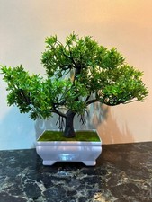 Künstliche Pflanzen Bonsai