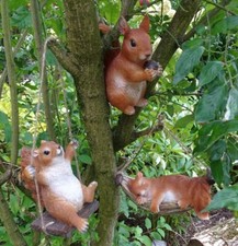 Eichhörnchen lebensecht