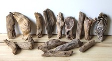 Treibholz Schwemmholz Driftwood 15 kleine   Hölzer  Basteln  9 -  18 cm *SK*