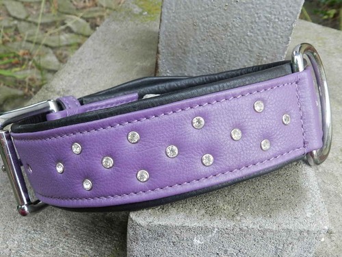 Hundehalsband 65cm leder - hundehalsband,