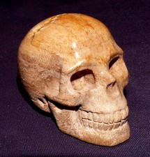 Edelstein-Schädel, Skull