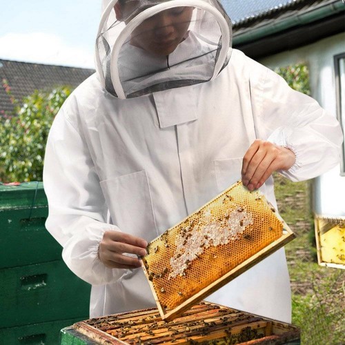 Professioneller imkeranzug mit - professioneller,