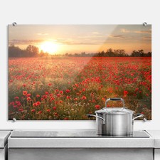 Glas Spritzschutz Mohnfeld im