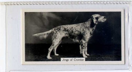 Sinclair - (ja6839-100),