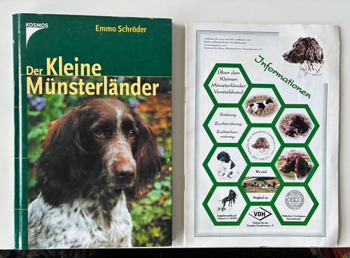 Der kleine münsterländer - der,