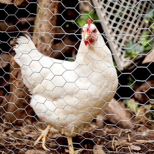 Maschendrahtzaun 250cm