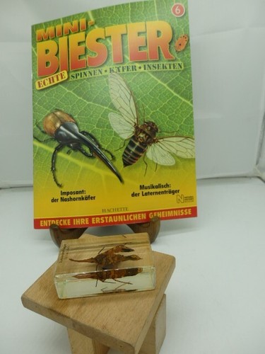 Mini biester heft 8 - mini,