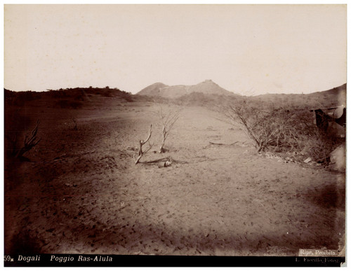 Luigi fiorillo eritrea - luigi,