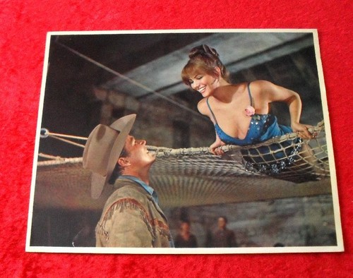 Kino aushangfoto film circus - kino,